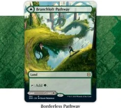 Collector Booster Zendikar Rising -DRAGON SHIELD Winkel znr treatment borderless pathway 1