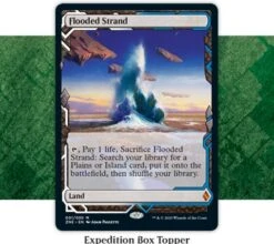 Draft Boosterbox Zendikar Rising (incl. Box Topper) -DRAGON SHIELD Winkel znr treatment expedition 2